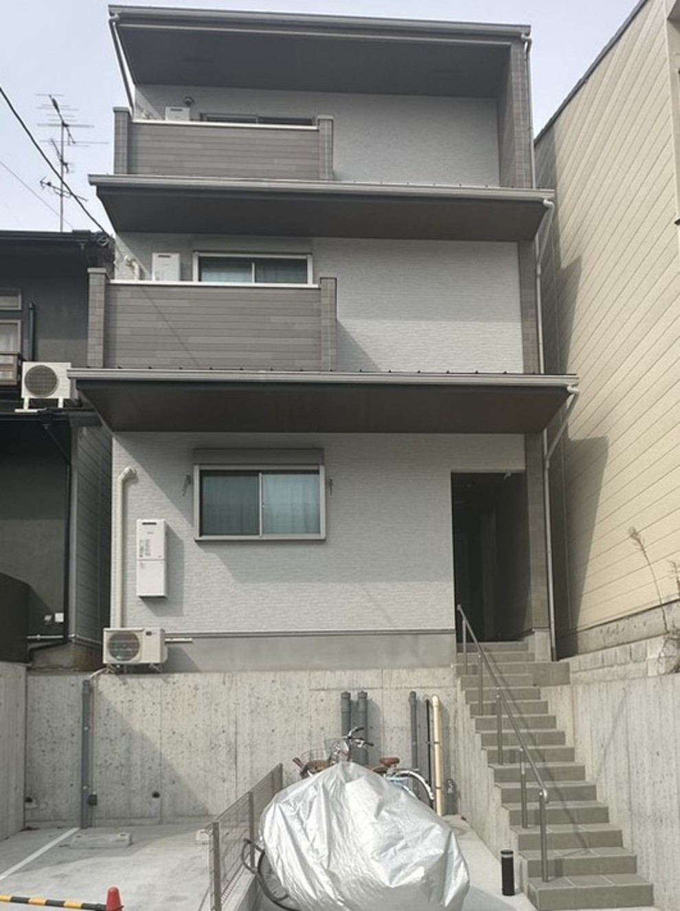VEGAS紫野